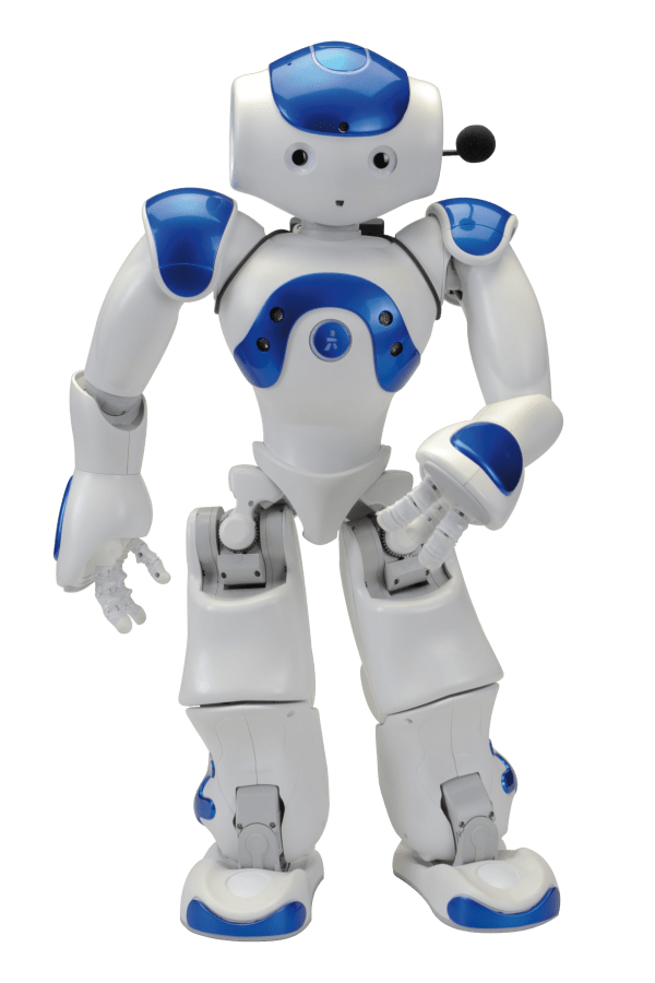 NAO the Robot NAO