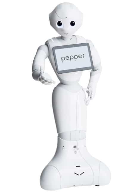 PEPPER PEPPER