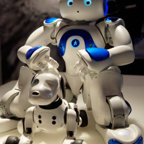 NAO mit Roboter Hund begutachtet
