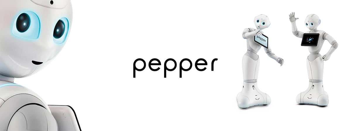 Pepper_Titelbild_mit_Schriftzug